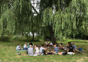 gathering of people under the shade umberlla of the willow trees