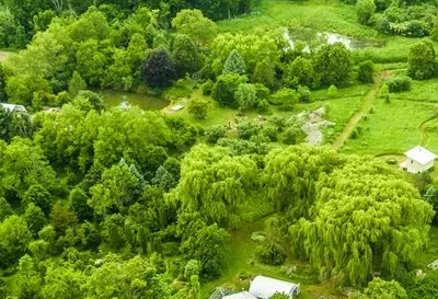 Orchard fruit trees, meadow and Fire Circle