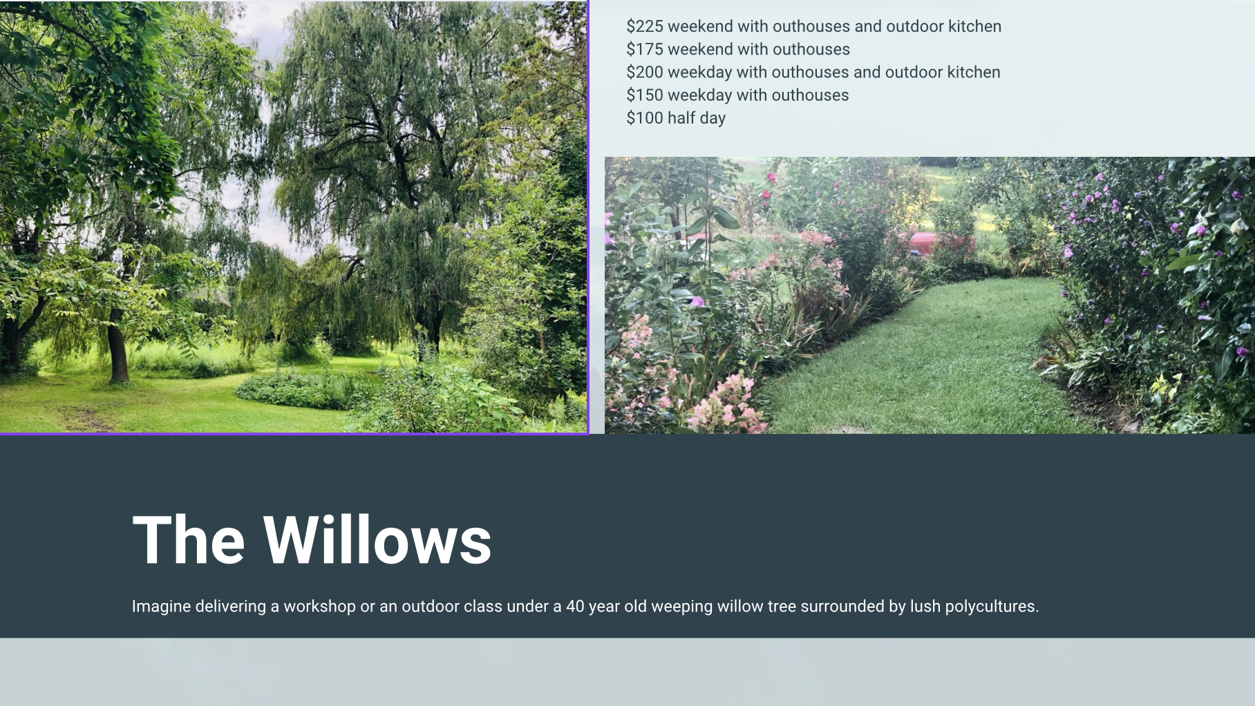 Willows facilitation space